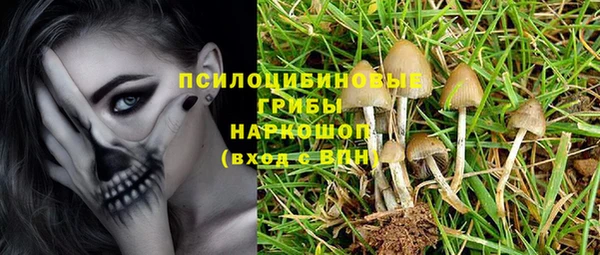 СК Иннополис