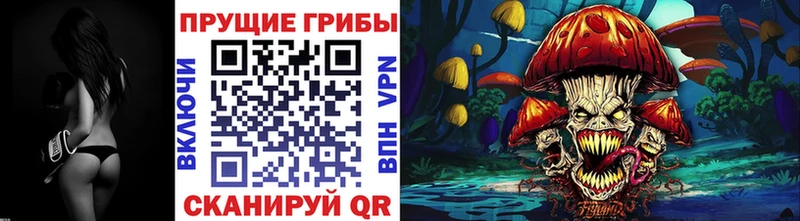 Купить  Буинск  Галлюциногенные грибы Psilocybe 